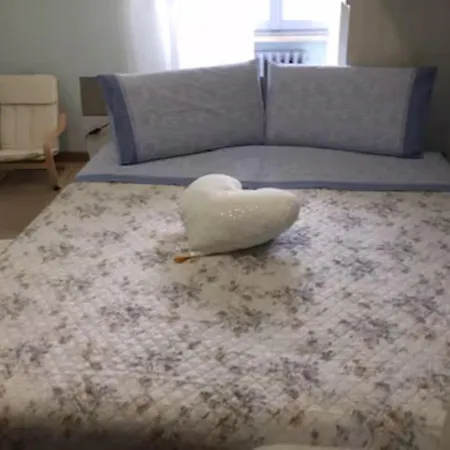 Pina House Apartment