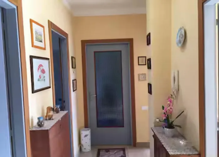 Pina House ペッテナスコ